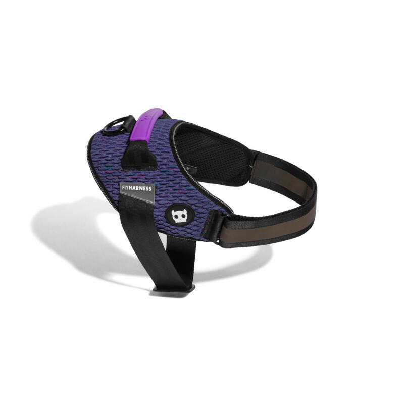 FLYHARNESS רתמה עם ידית אחיזה WICKED
