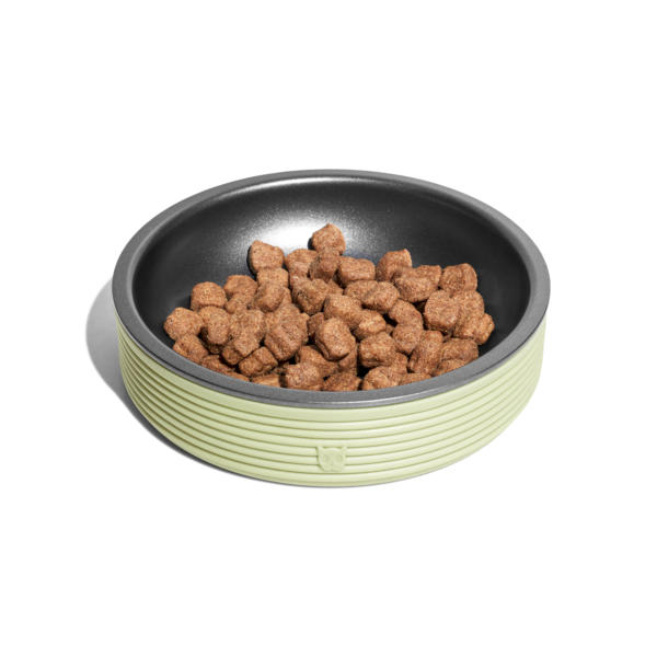 כלי אוכל לחתולים עשוי מתכת עם ציפוי טפלון DUO BOWL מבית Zee.Dog