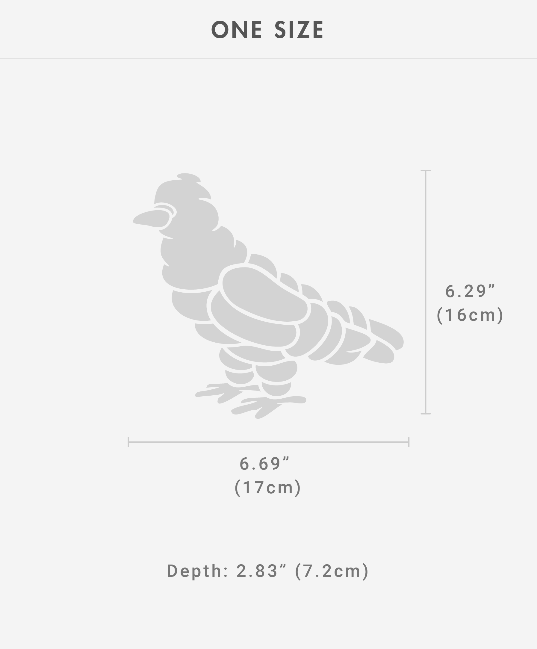 מדריך מידות - Fat Pigeon