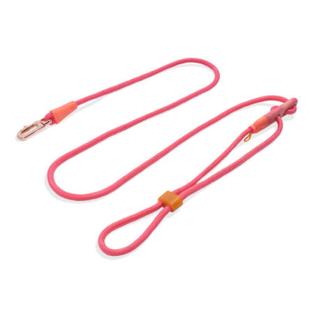 רצועה לכלב ללא ידיים | HandsFree Gazelle